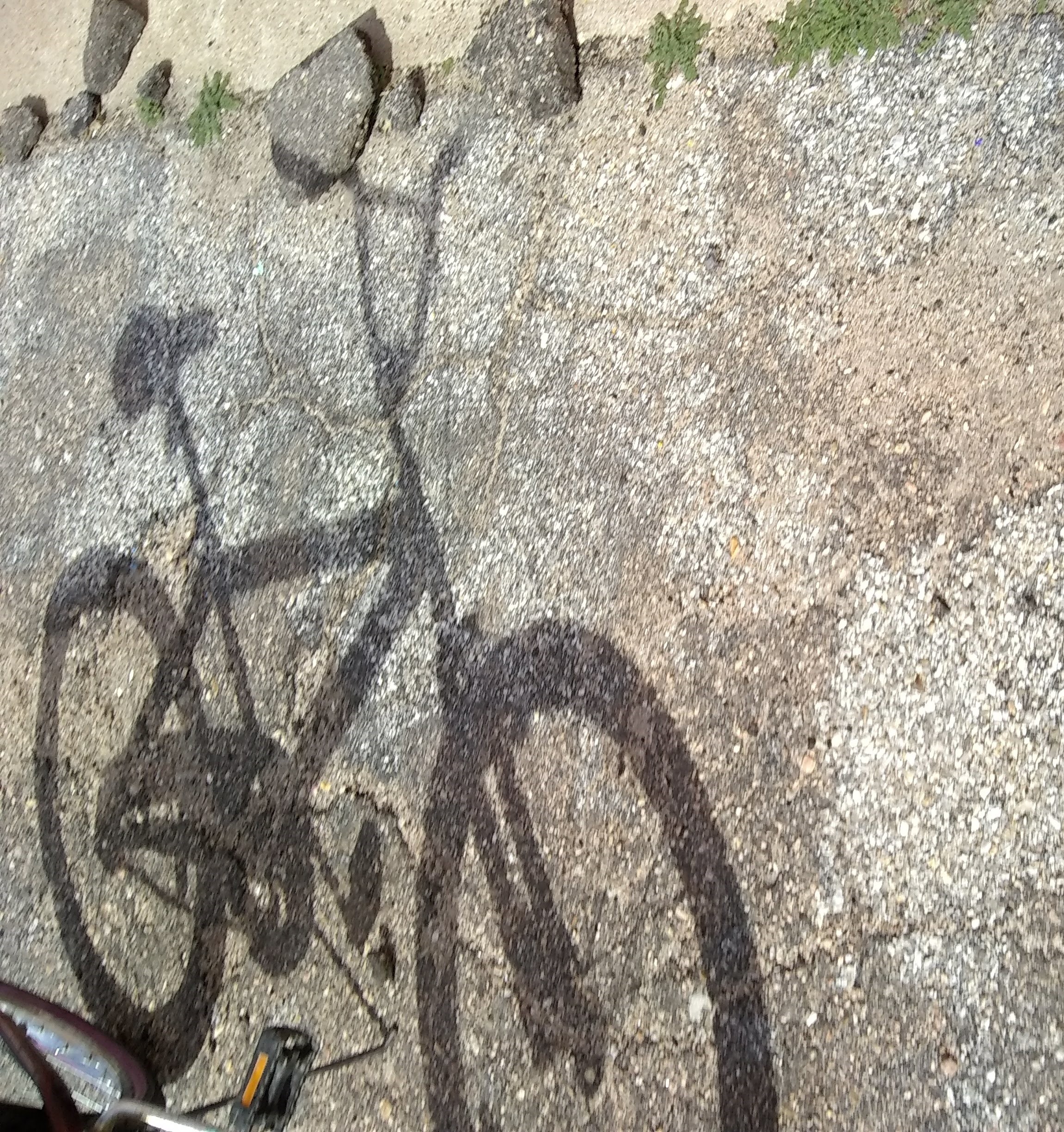 Ride your bike anywhere